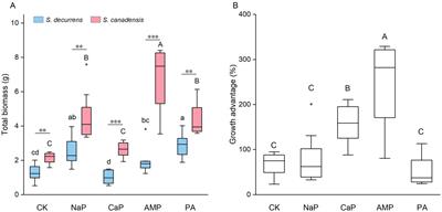 Soil phosphorus form affects the advantages that arbuscular mycorrhizal fungi confer on the invasive plant species, Solidago canadensis, over its congener